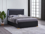 Marceline Full Bed with LED Headboard Black from Coaster - Luna Furniture