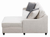 Mcloughlin Upholstered Sectional Platinum from Coaster - Luna Furniture