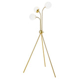 Miley Trio Tree Floor Lamp Gold from Coaster - Luna Furniture