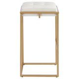 Nadia Beige/Gold Square Padded Seat Bar Stool, Set of 2 from Coaster - Luna Furniture