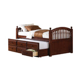 Norwood Chestnut Twin Captain's Bed with Trundle/Drawers from Coaster - Luna Furniture