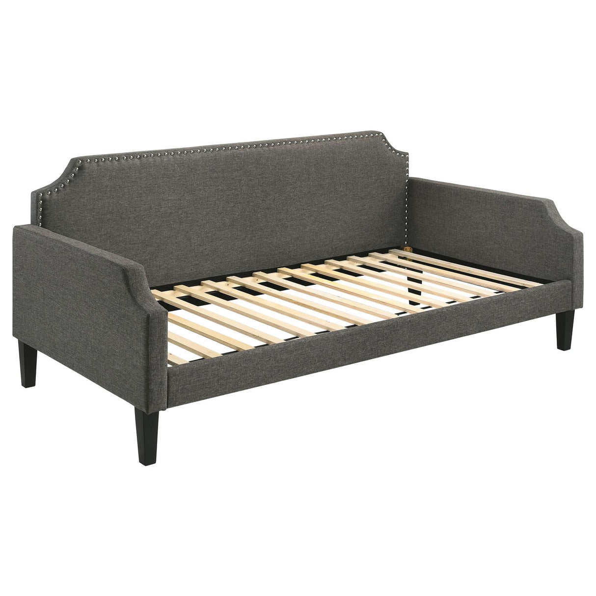 Olivia Upholstered Twin Daybed with Nailhead Trim from Coaster - Luna Furniture