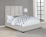 Panes Queen Tufted Upholstered Panel Bed Beige from Coaster - Luna Furniture