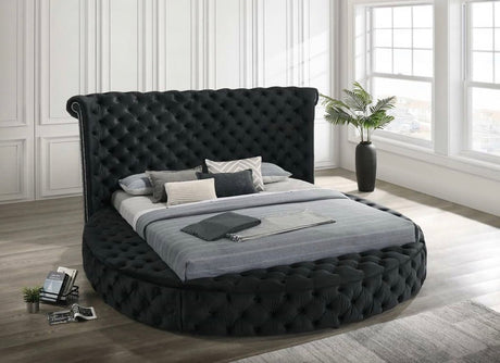Penthouse Black King Storage Platform Bed - Luna Furniture