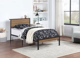 Ricky Twin Platform Bed Light Oak and Black from Coaster - Luna Furniture