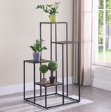 Rito Rustic Brown/Black 4-Tier Display Shelf from Coaster - Luna Furniture