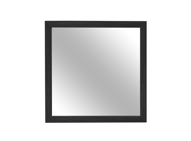 SH2216BK-6 MIRROR - Luna Furniture