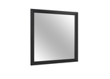 SH2216BK-6 MIRROR - Luna Furniture