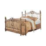 Sydney Queen Bed Antique Brushed Gold from Coaster - Luna Furniture