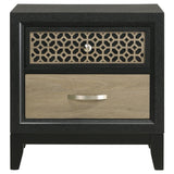 Valencia 2-drawer Nightstand Light Brown and Black from Coaster - Luna Furniture